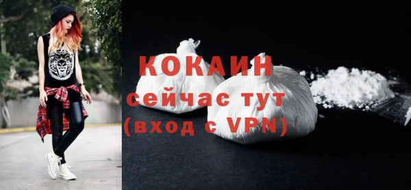 молекула духа Краснослободск