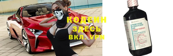 сатива Корсаков