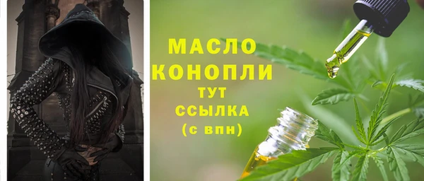 молекула духа Краснослободск
