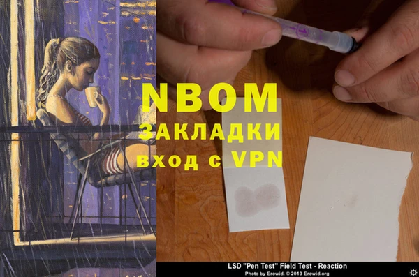 сатива Корсаков