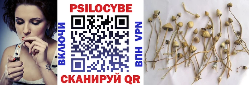 Псилоцибиновые грибы мухоморы  Купить закладки  Боровичи 